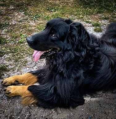 2022-02-floris-van-de-bremmerstee