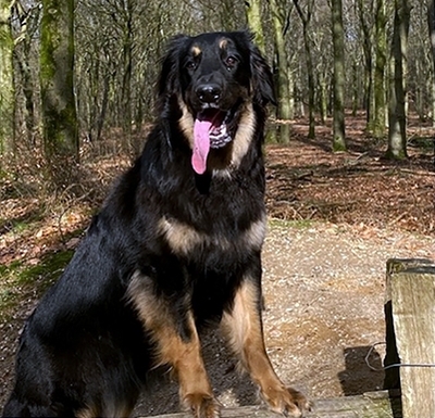 2022-03-senna-van-het-varikererf