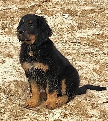 2022-04-baldr-vom-felsen-der-sternentanzerin