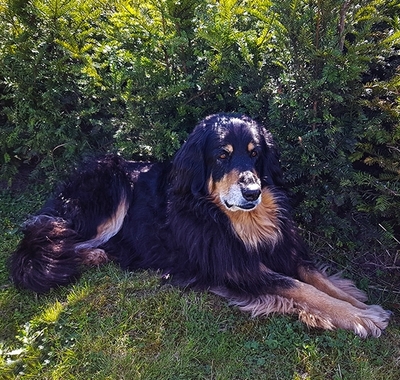 2022-05-bente-van-de-haskerazathe