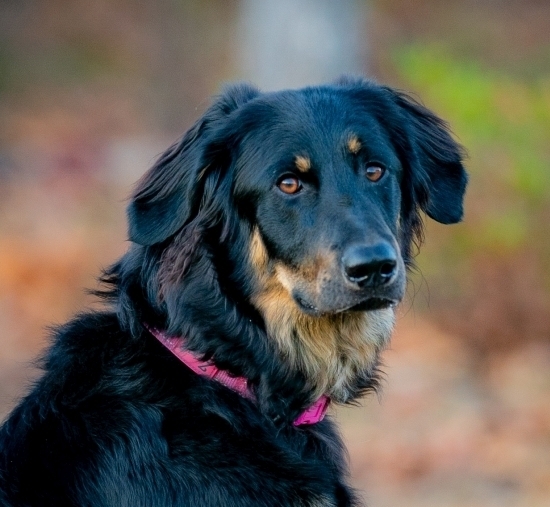 2023-12 Zarah von Streifenhugel